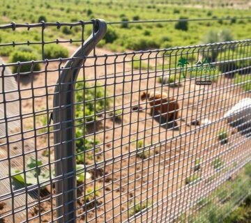 شبوك مزارع الجوف 2026